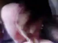 Slut getting fucked hard by a horny dog